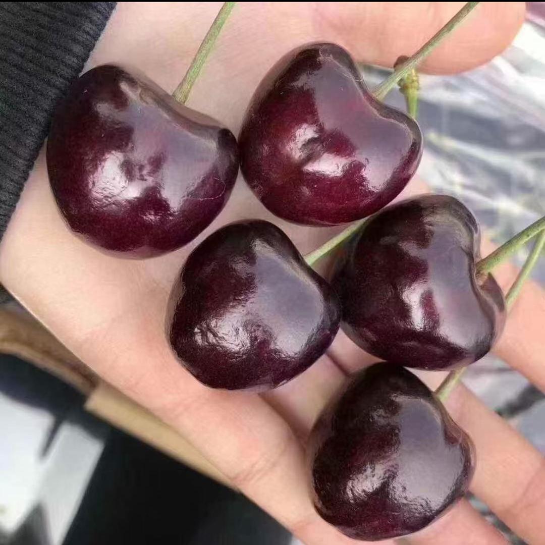 淡然的微笑💫