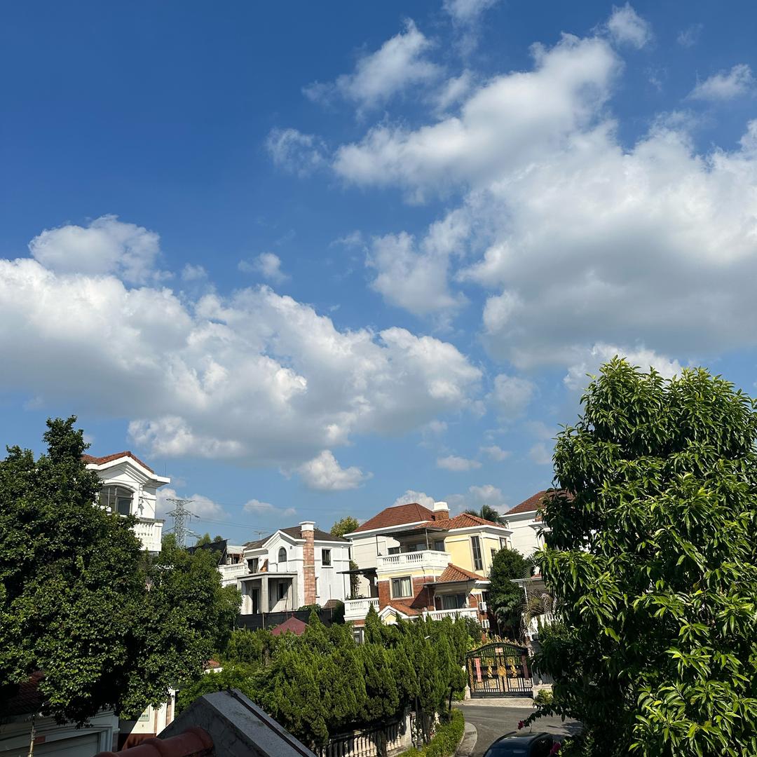 小迪张六六