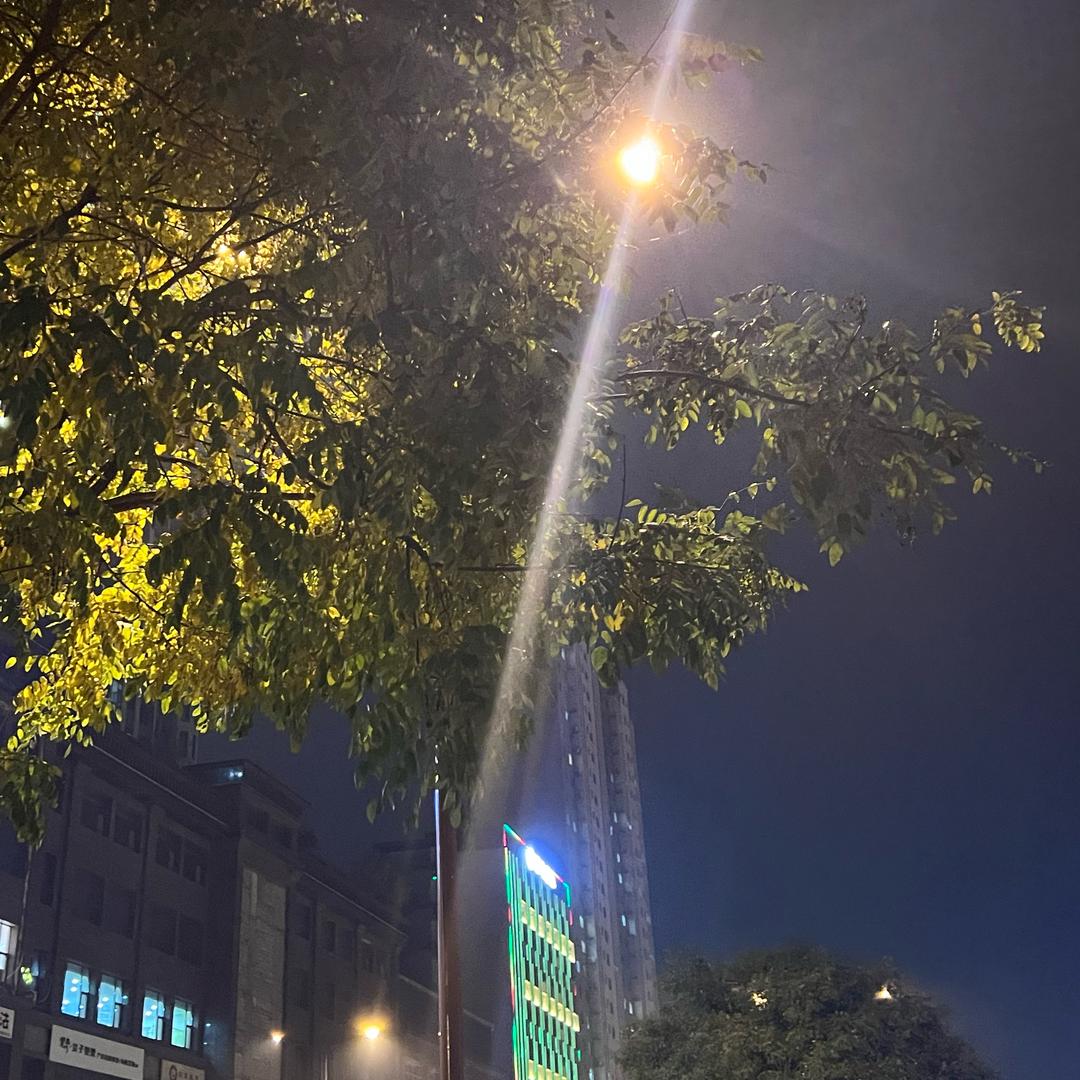 淋雨