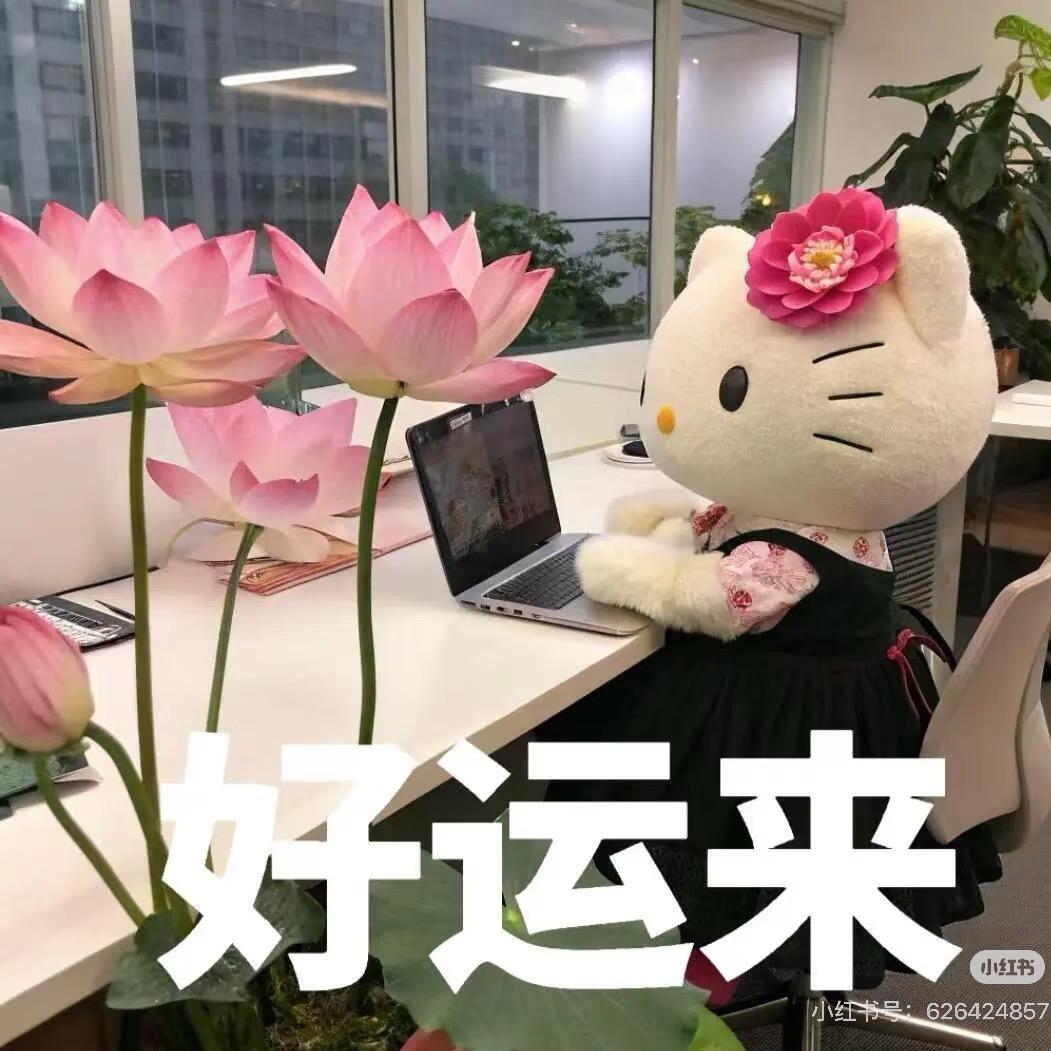 不喝葡萄酒