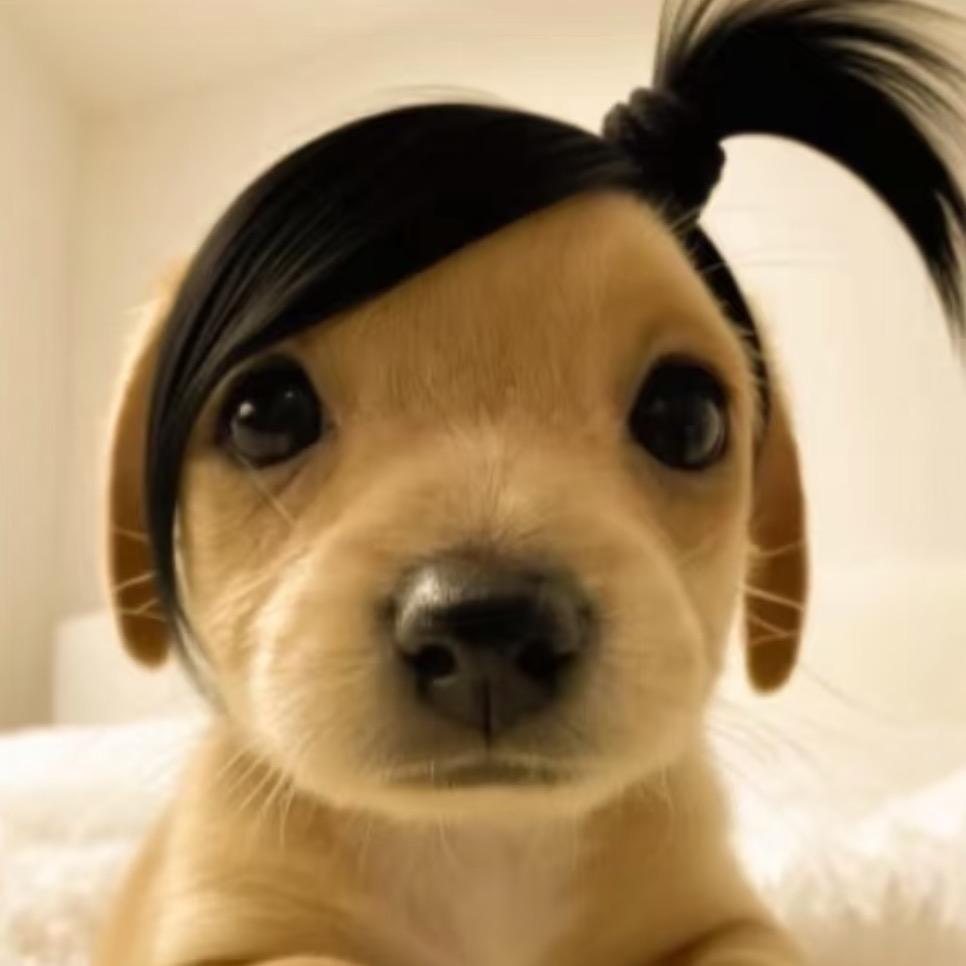 小姨.