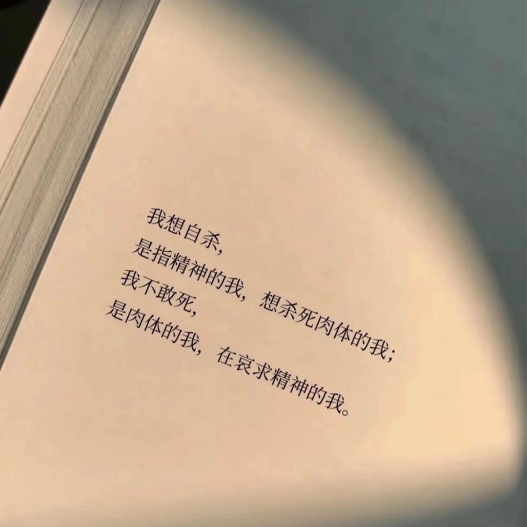 杨三岁