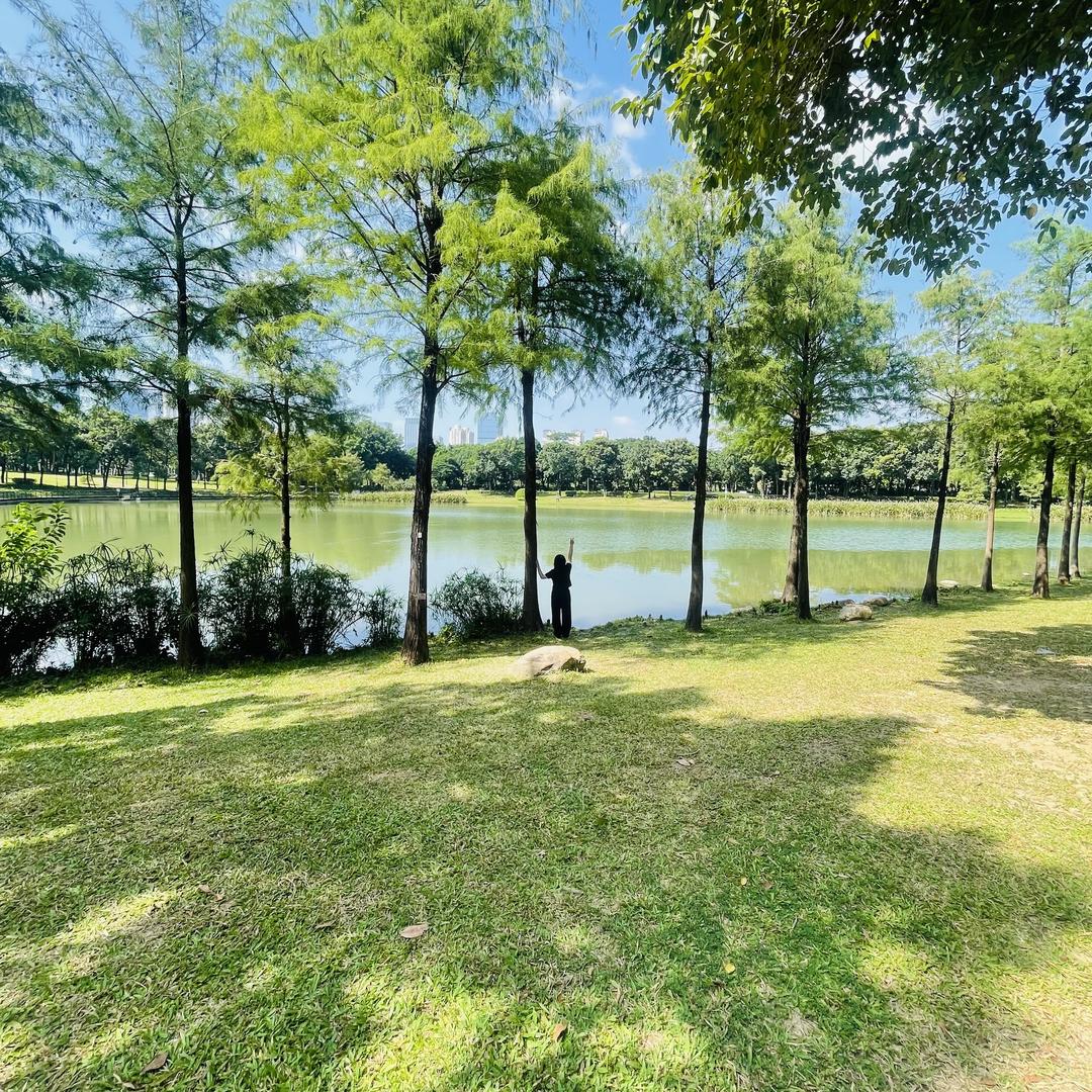 穆沙岛🔆🔆