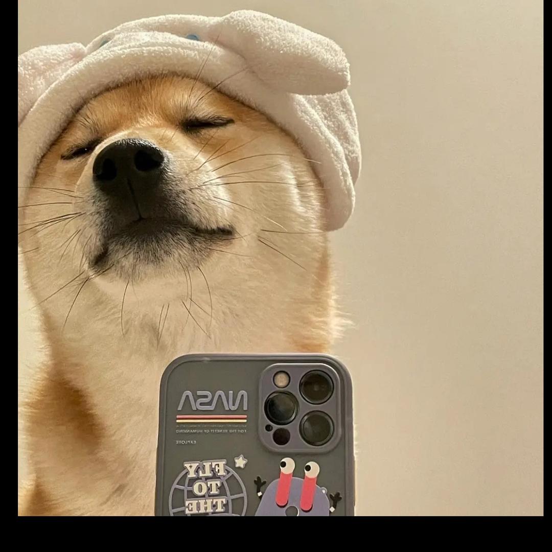 俊俊𝓤𝓀