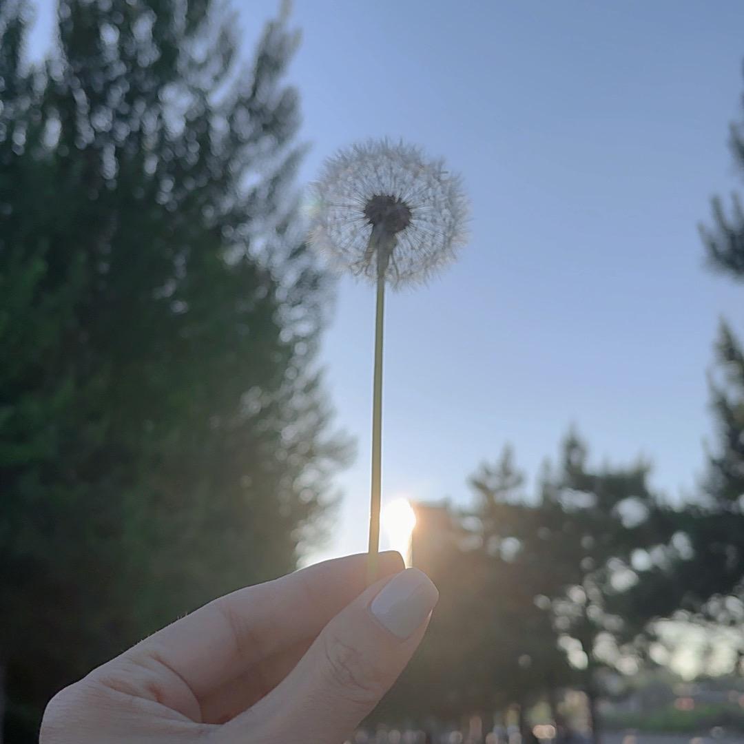 XUU 🍡
