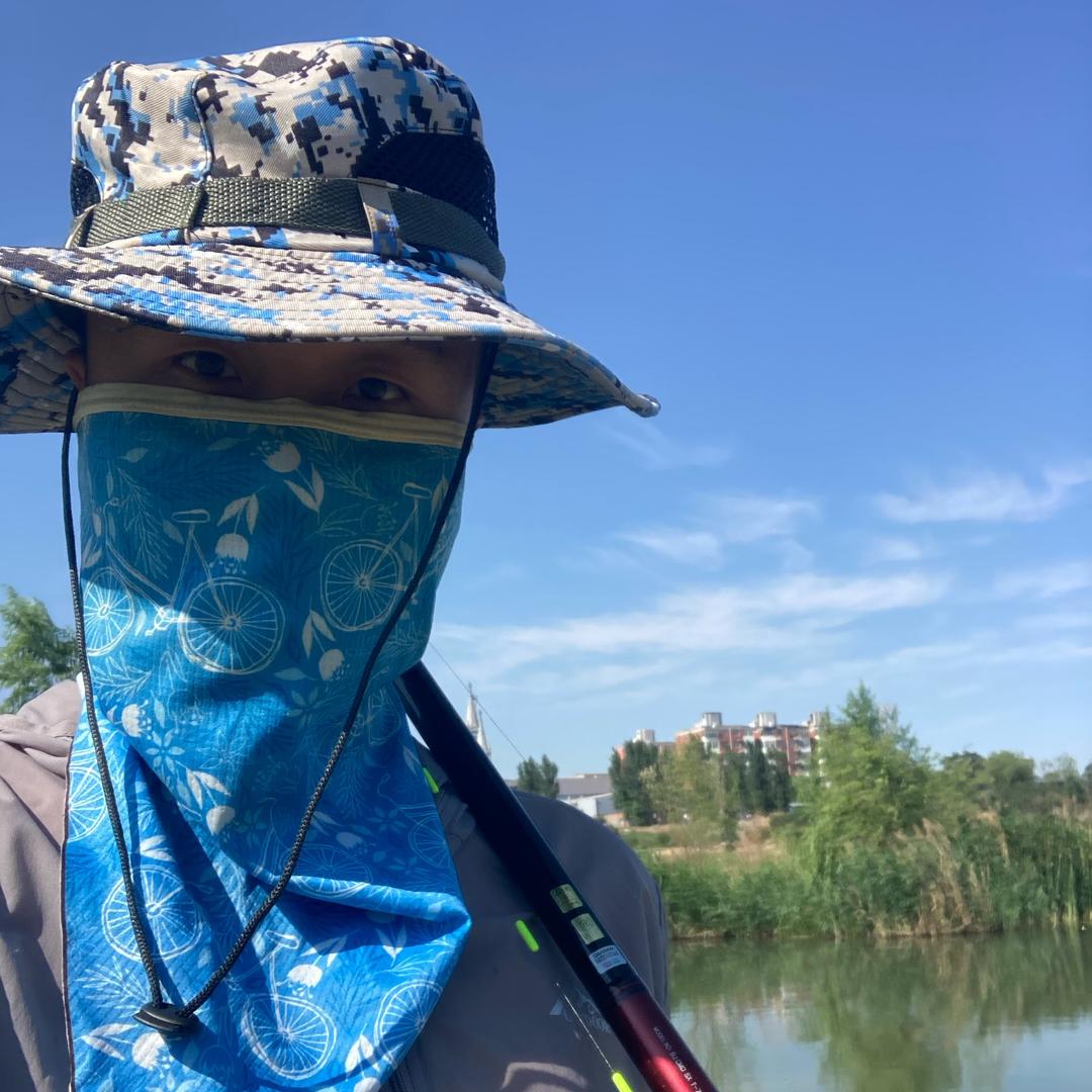 达达爱溜达