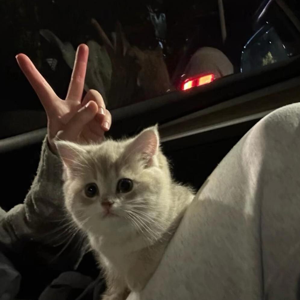 三禾（专注于店铺分）