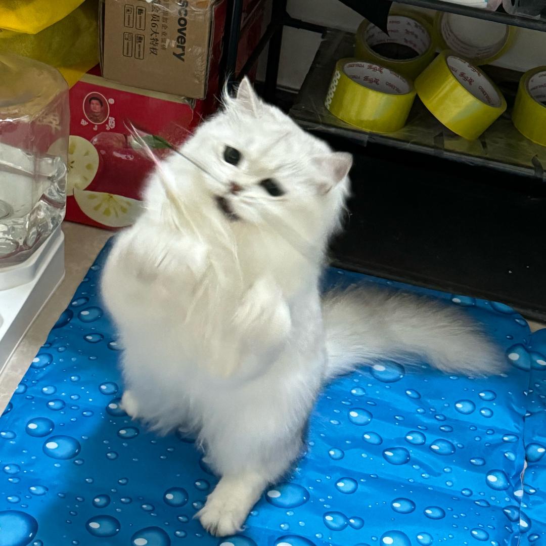 拖拖～
