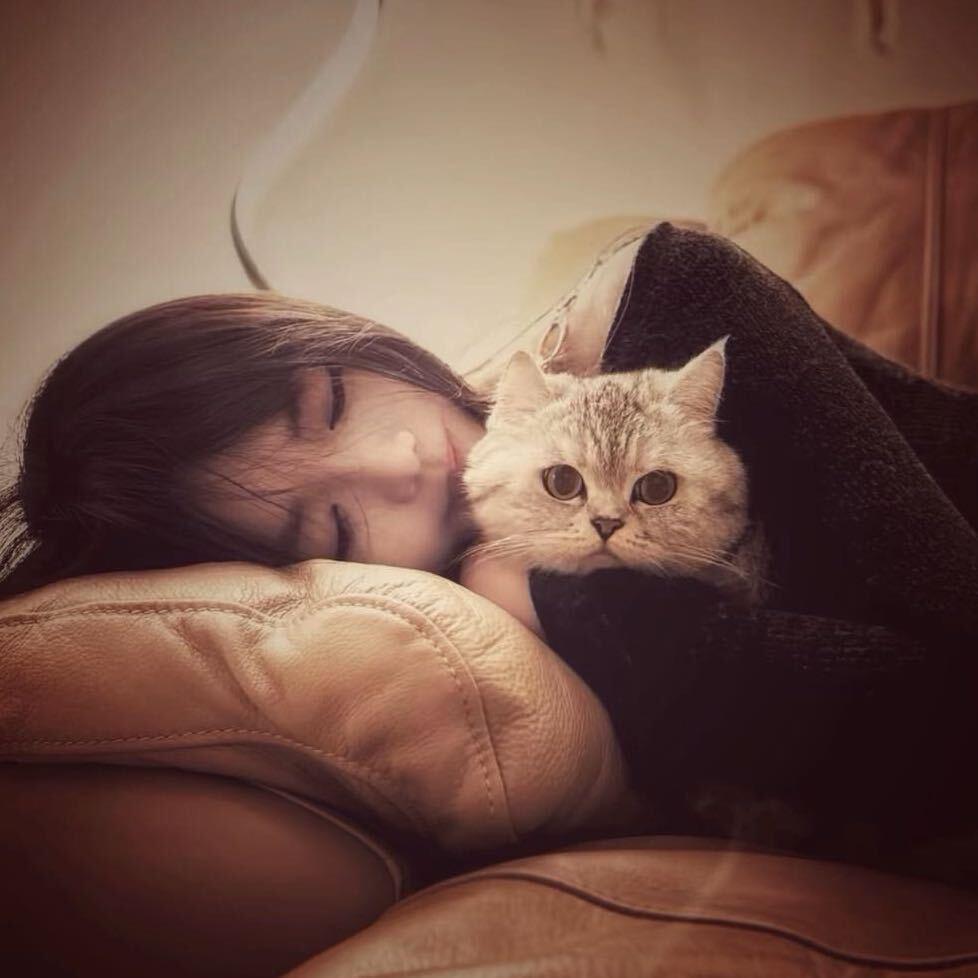 我只是一个小猪猪