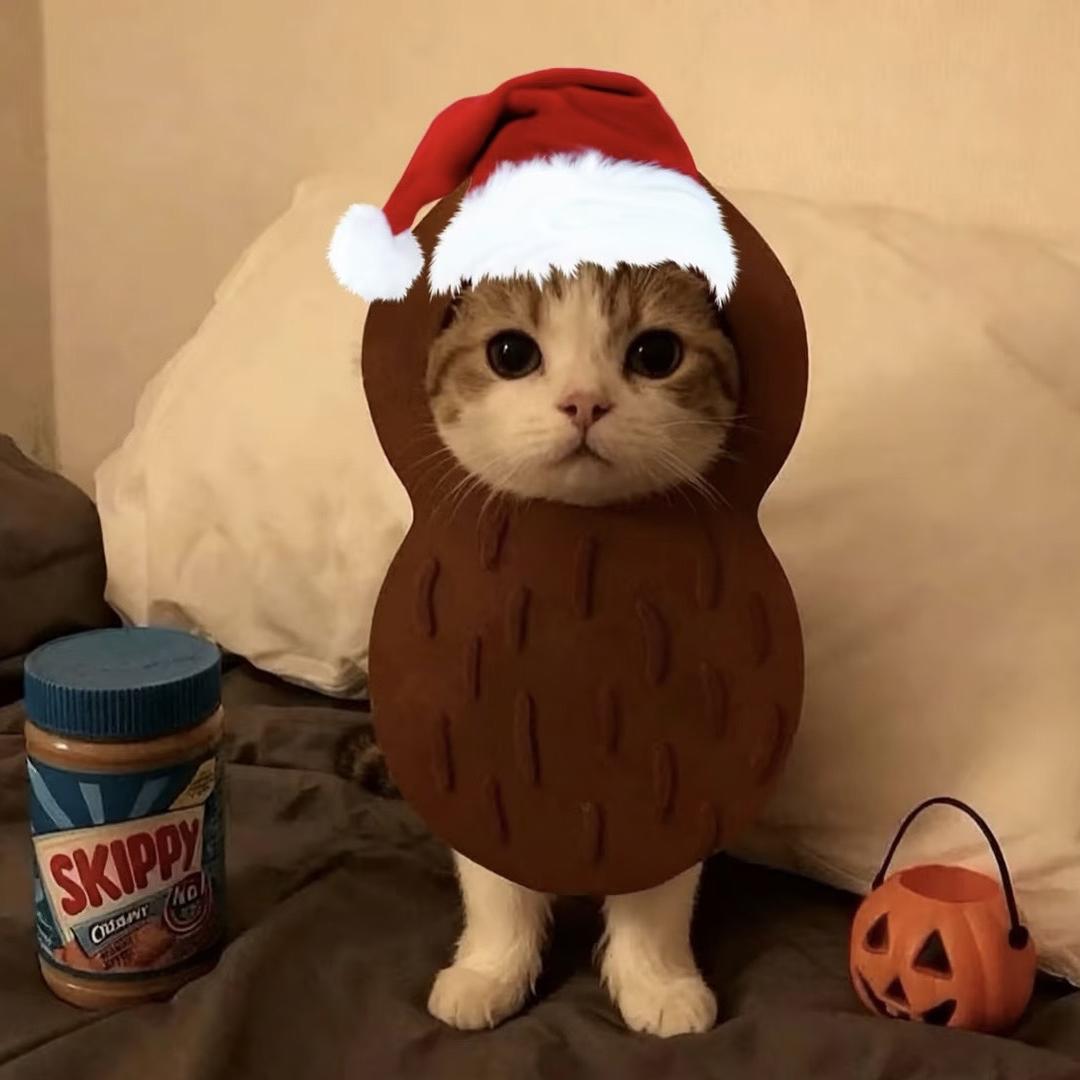 ㅤㅤㅤㅤㅤㅤㅤㅤ ㅤㅤㅤ麦辣鸡腿堡