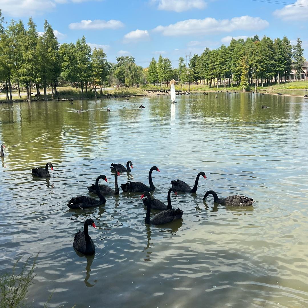 南通野生动物园自驾租车服务