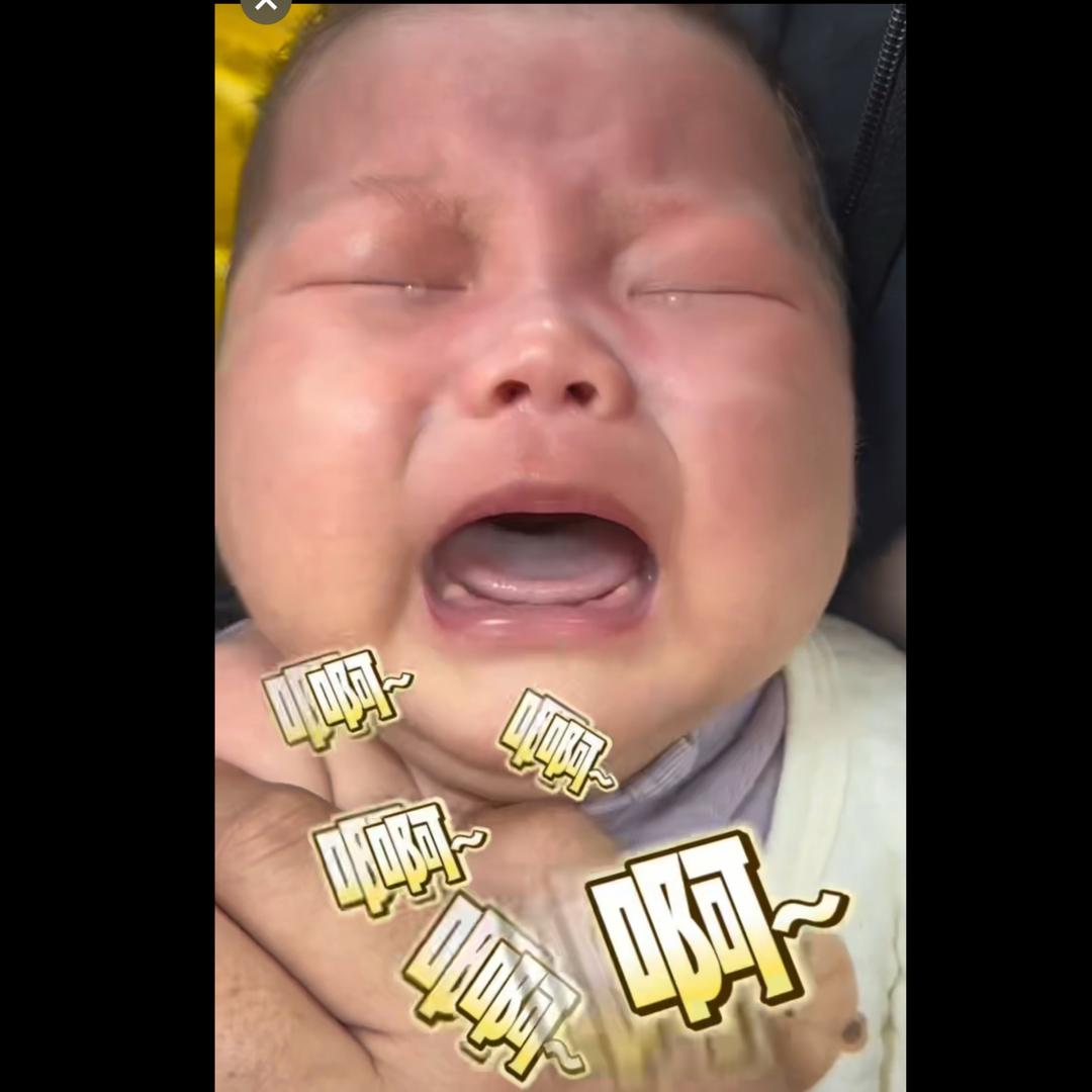 🌸一尾小锦  李