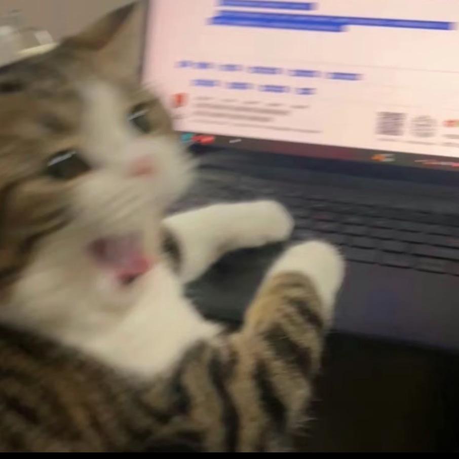 小王不懂大道理