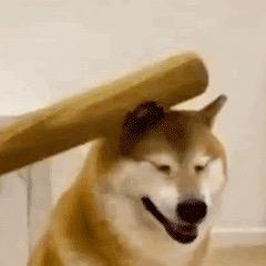 我也不知道起啥名字