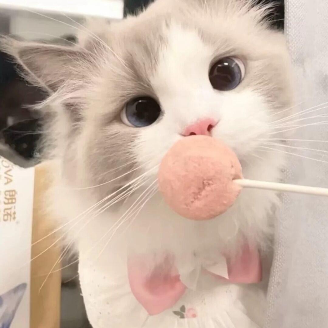 You