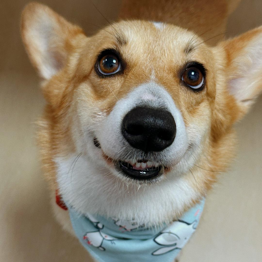 豆包De办公日记