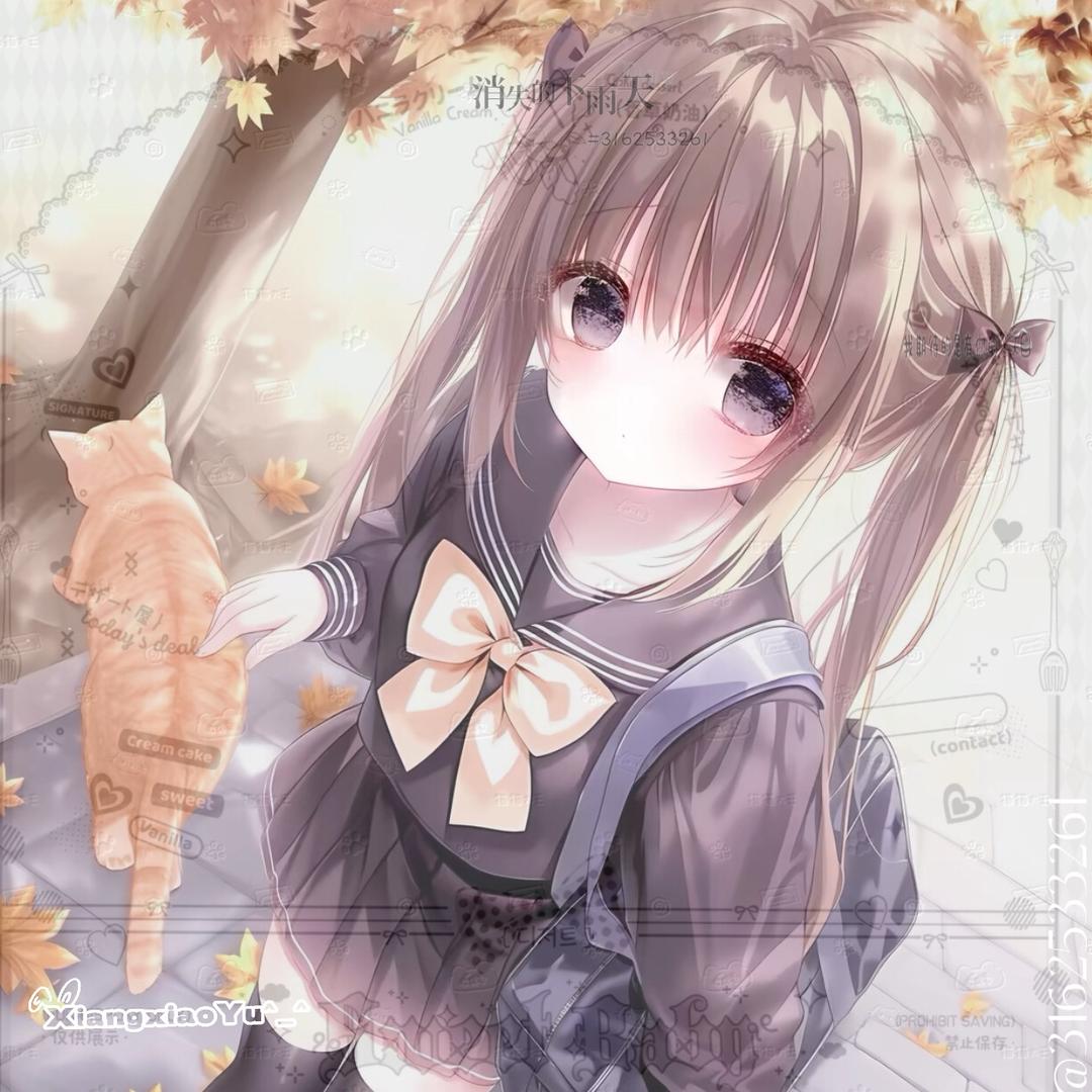 最爱茉莉雨
