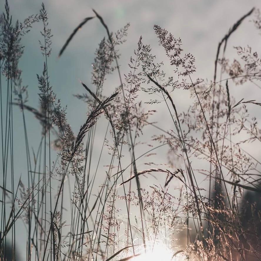 西昌/马老表平价二手车