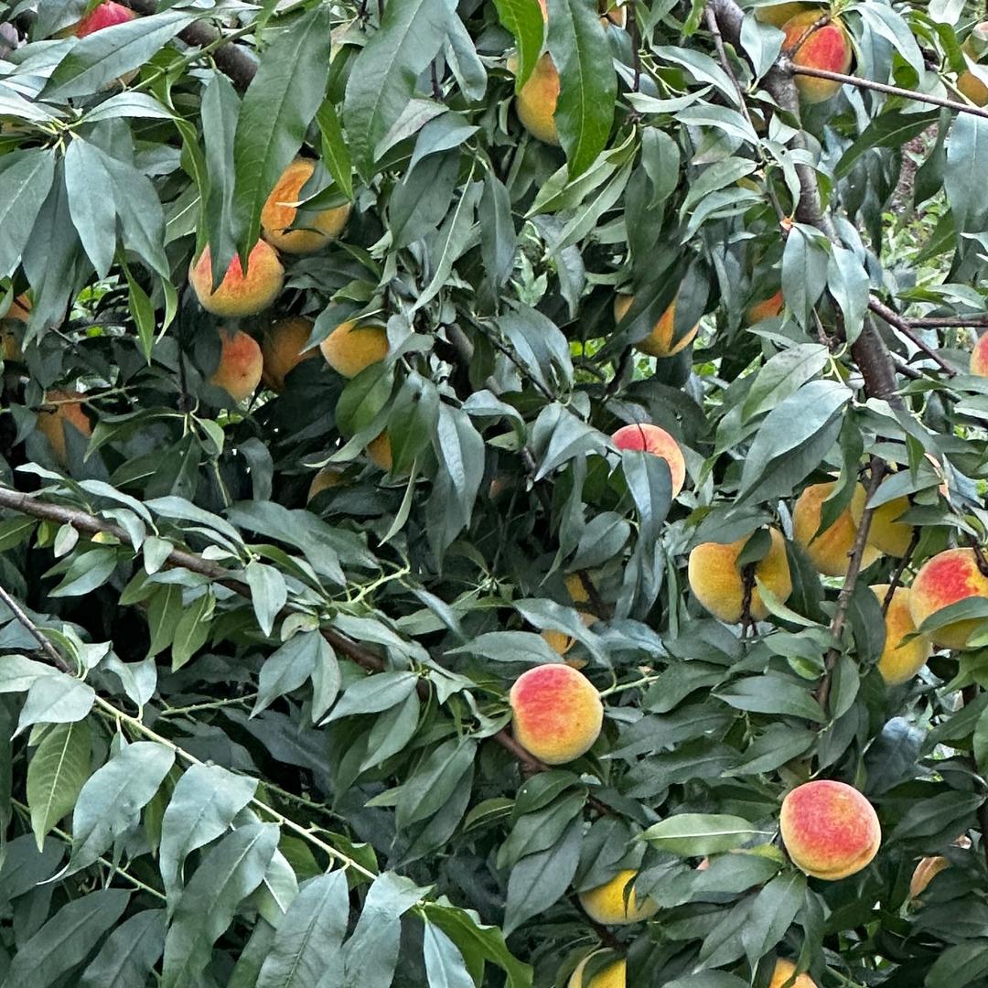 用户 231345231458164