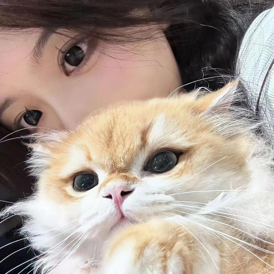 陪我一⁷去看海