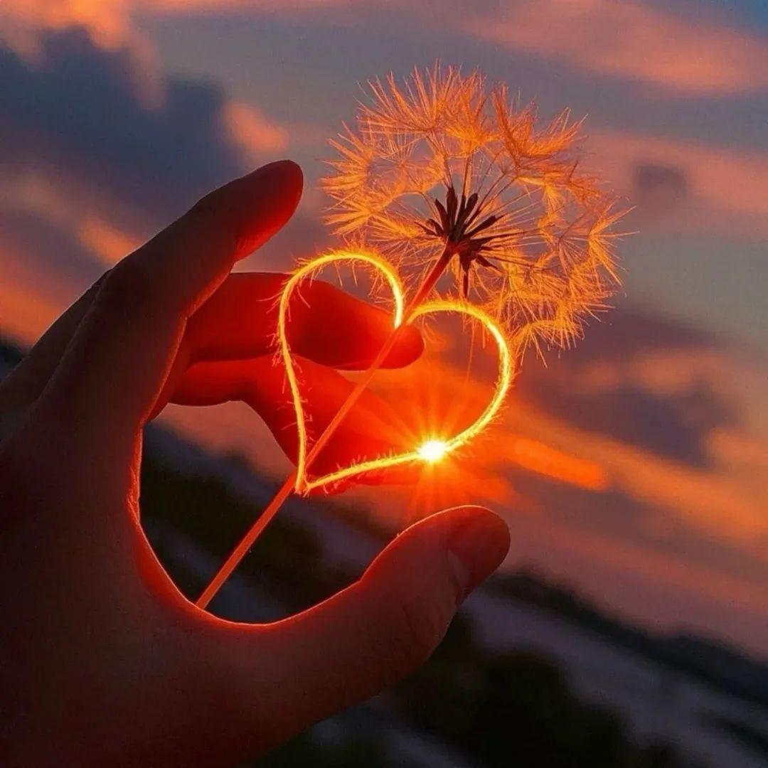 ⁽⁽ଘ 来一口橘子 ଓ⁾⁾ღ࿐