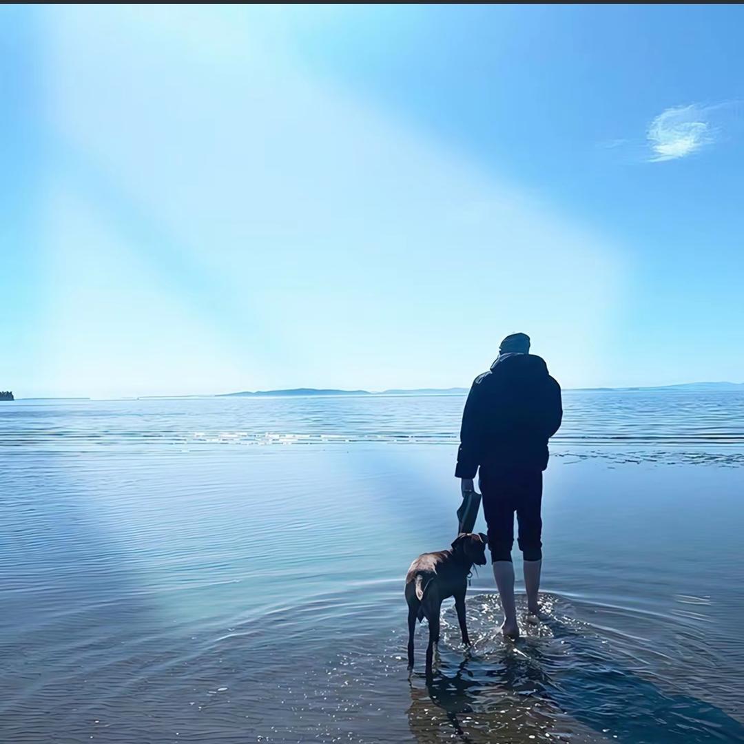飞不过沧海的鸟