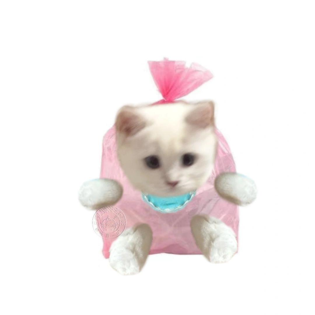 一口一包魔芋爽