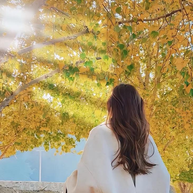 美满备婚喜铺