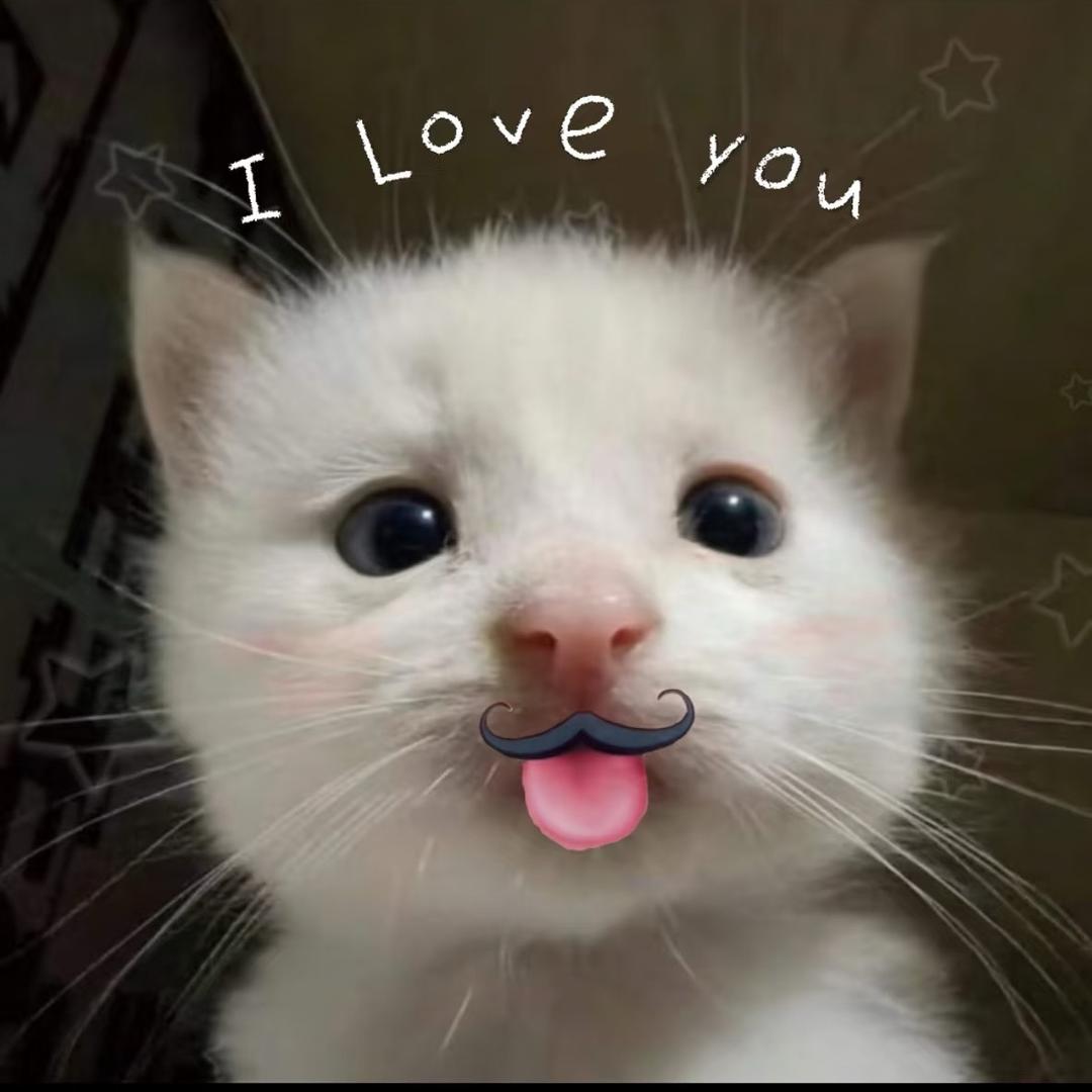 我睡觉的时候不困