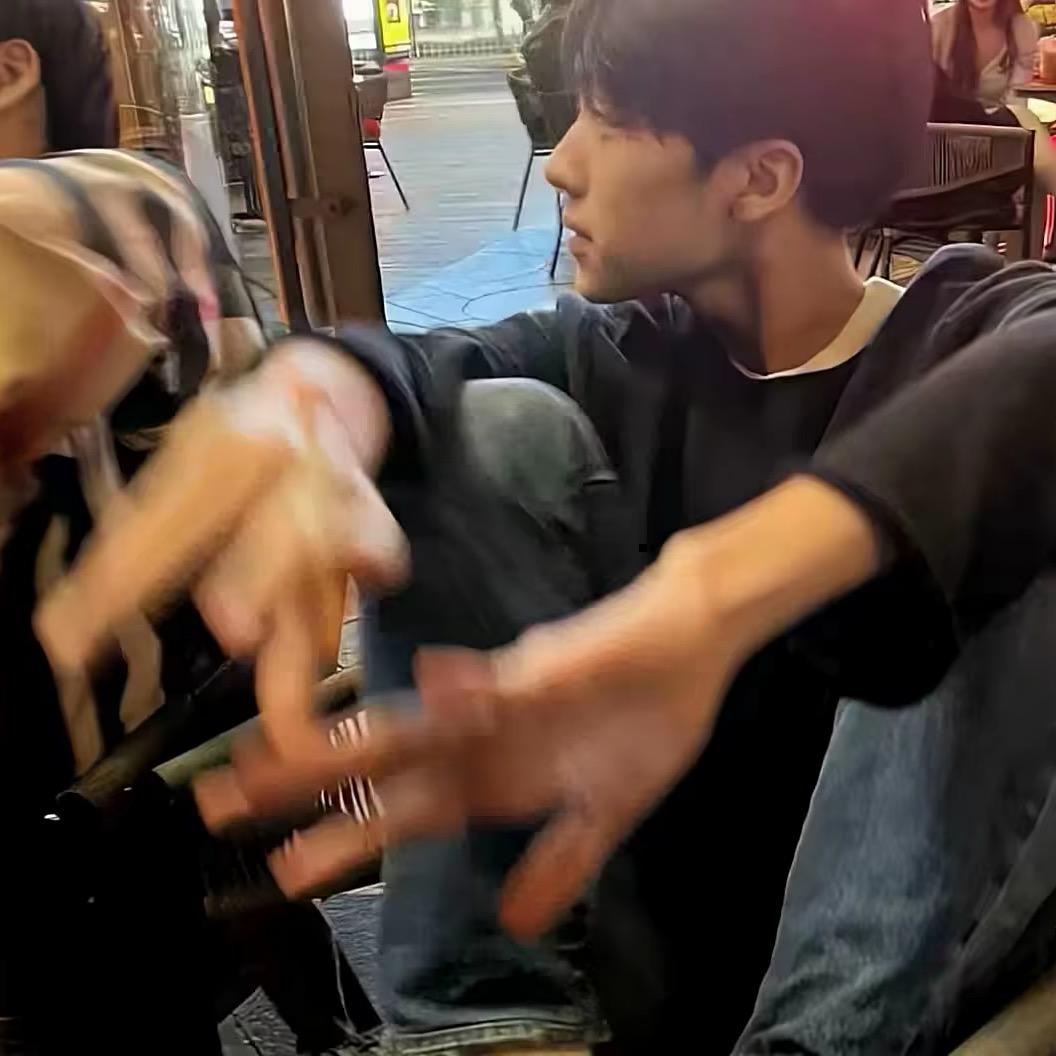 文文（贪吃的猪）