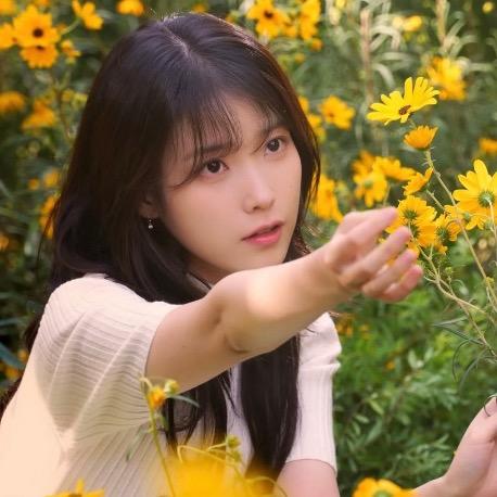 sunflower（学习版）