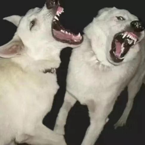 有效