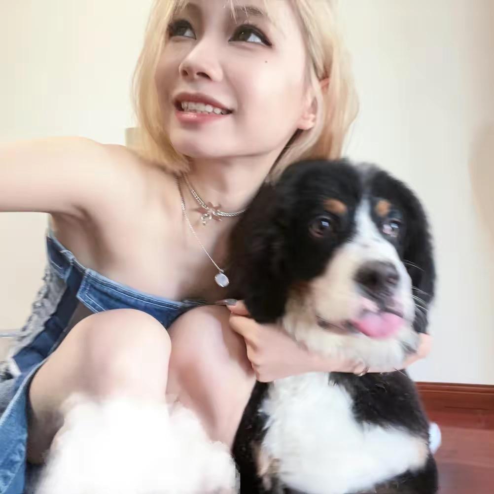 小猪蹄