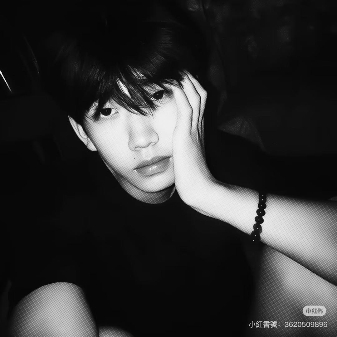 宝宝羊