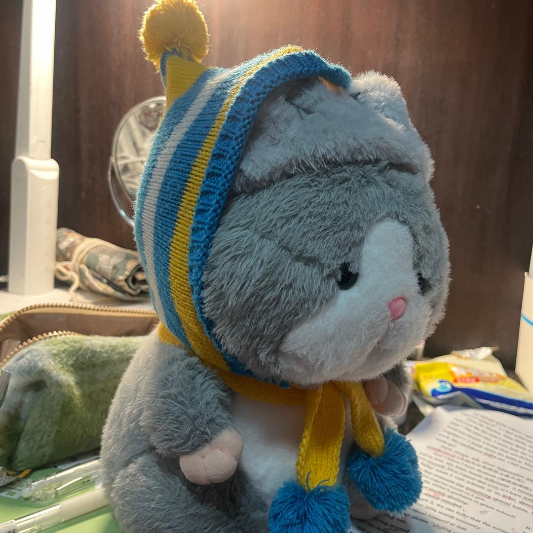梅 梅💕
