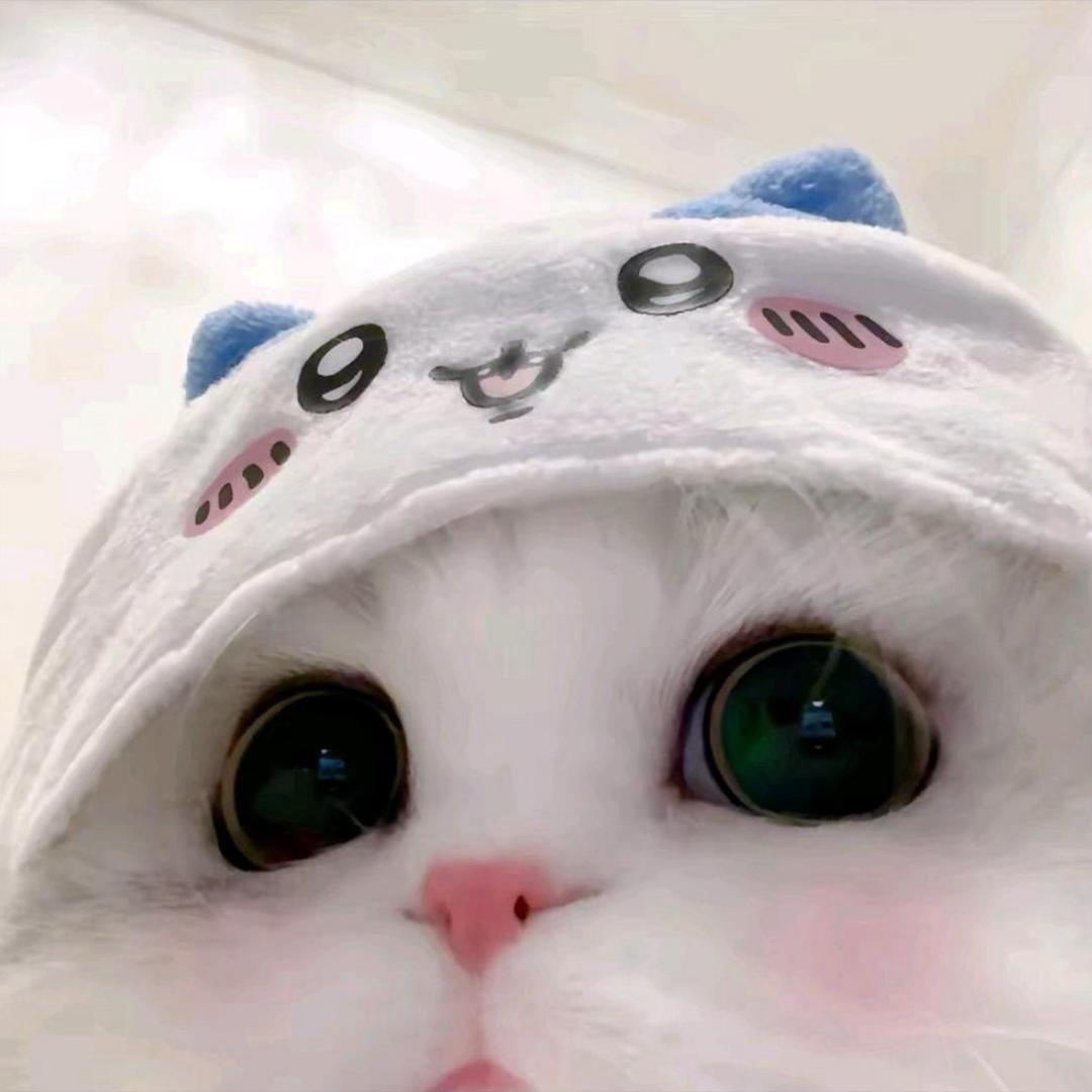 uu