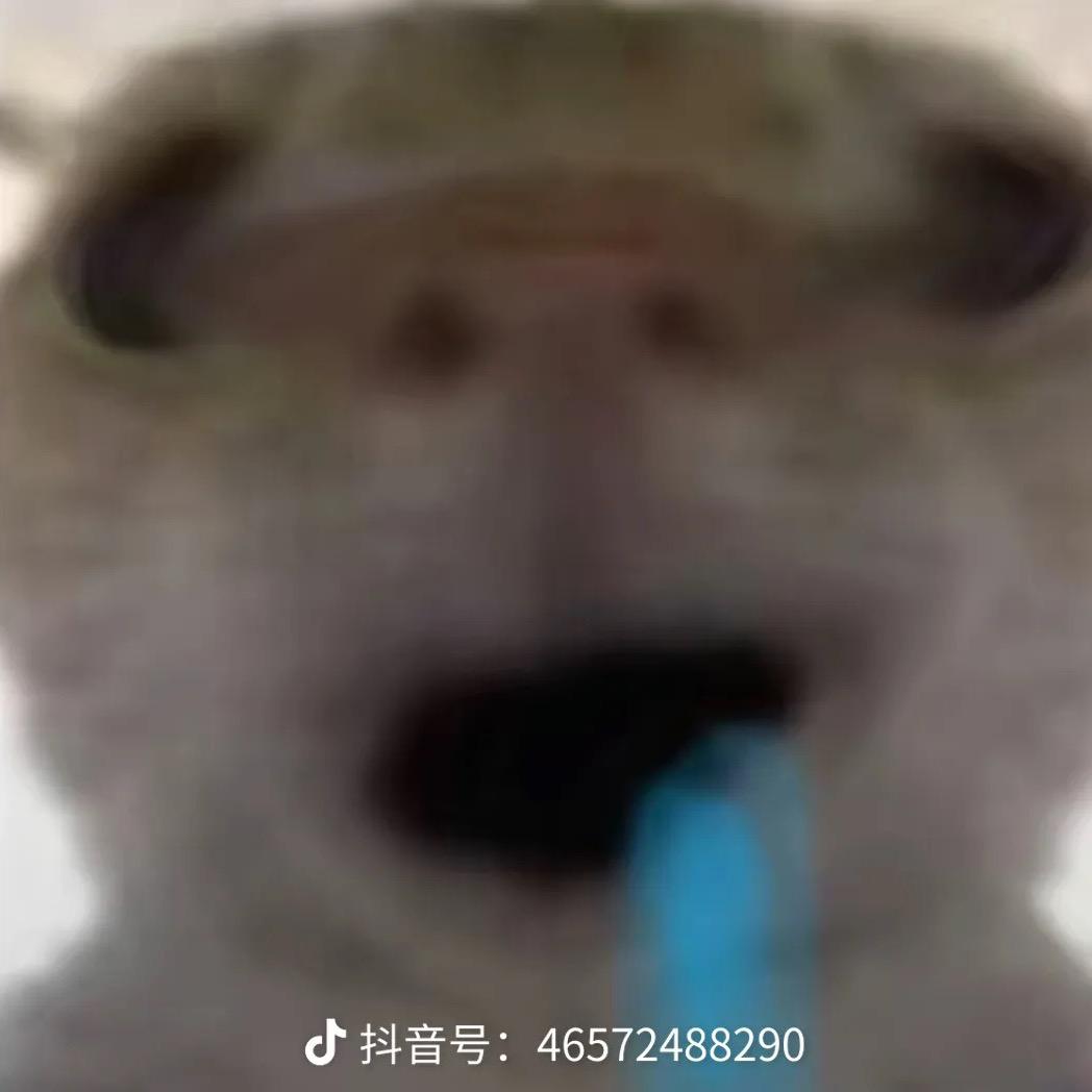 真诚的鼠鼠🐭