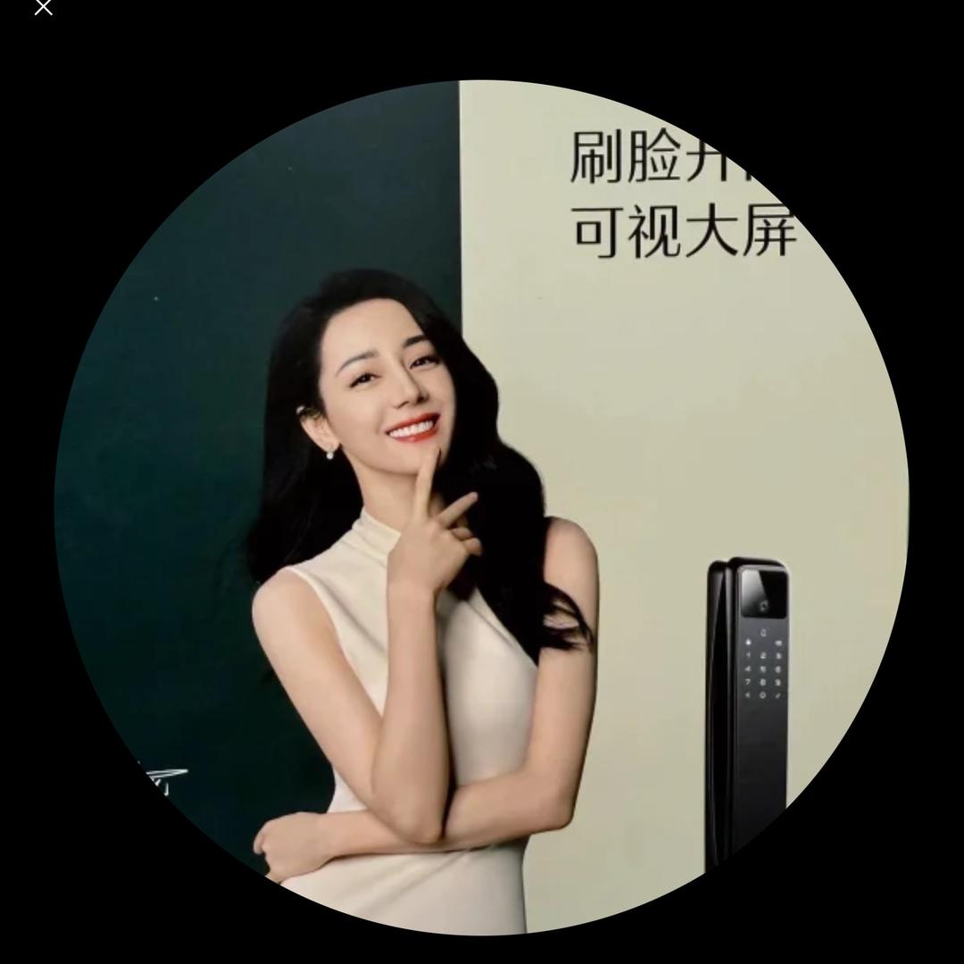 德施曼智能锁木木