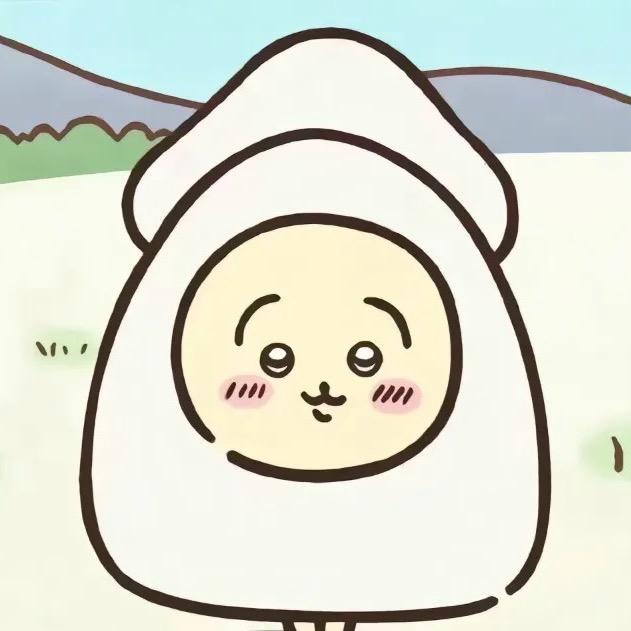 NN。