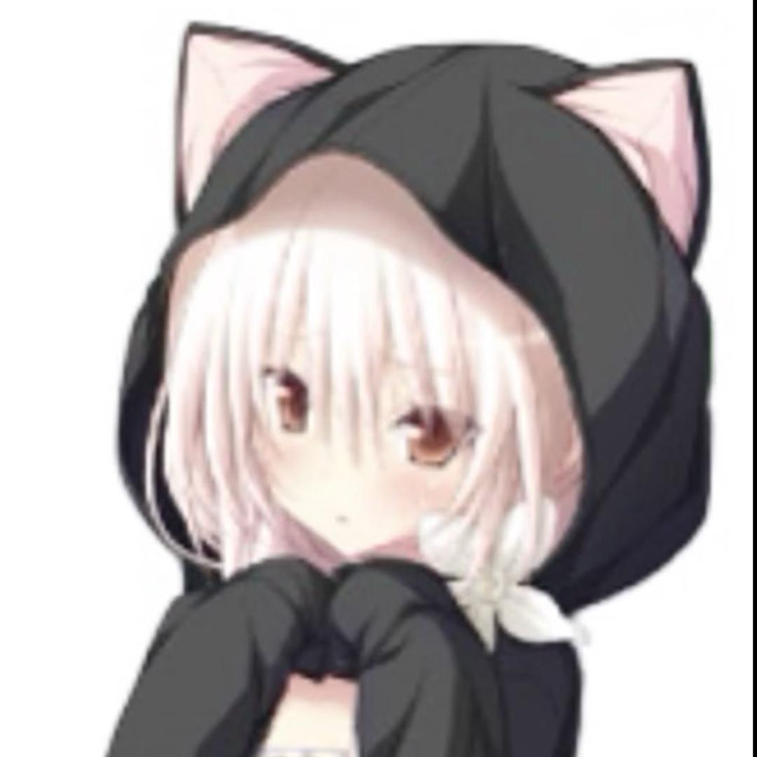 小唐猫