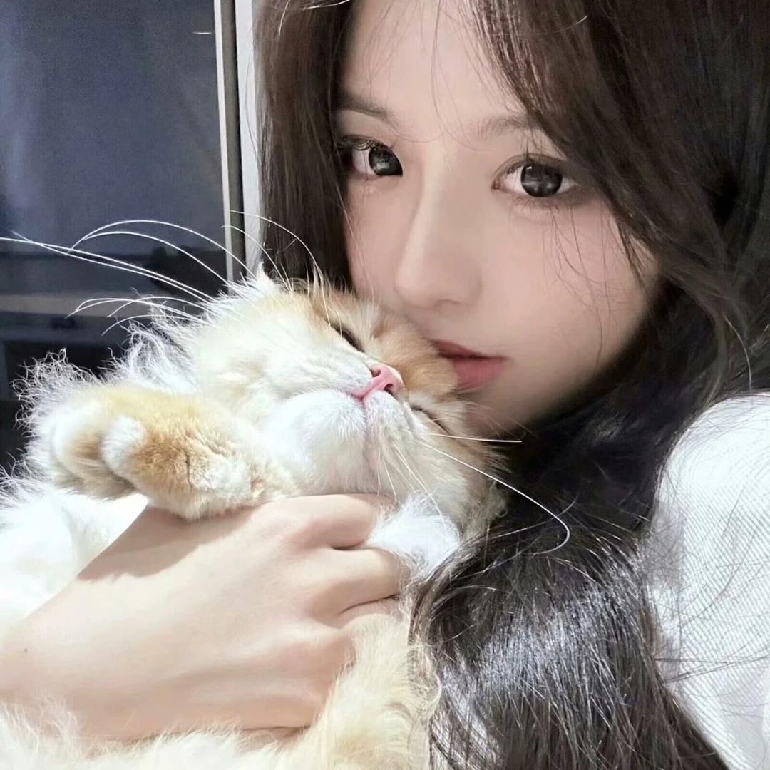 圆圆不圆