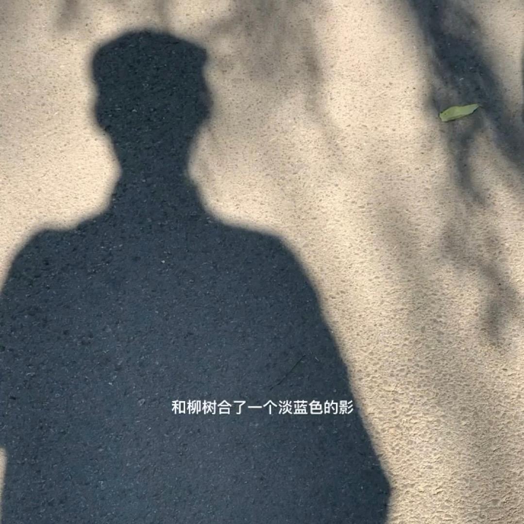 浪漫小张📷