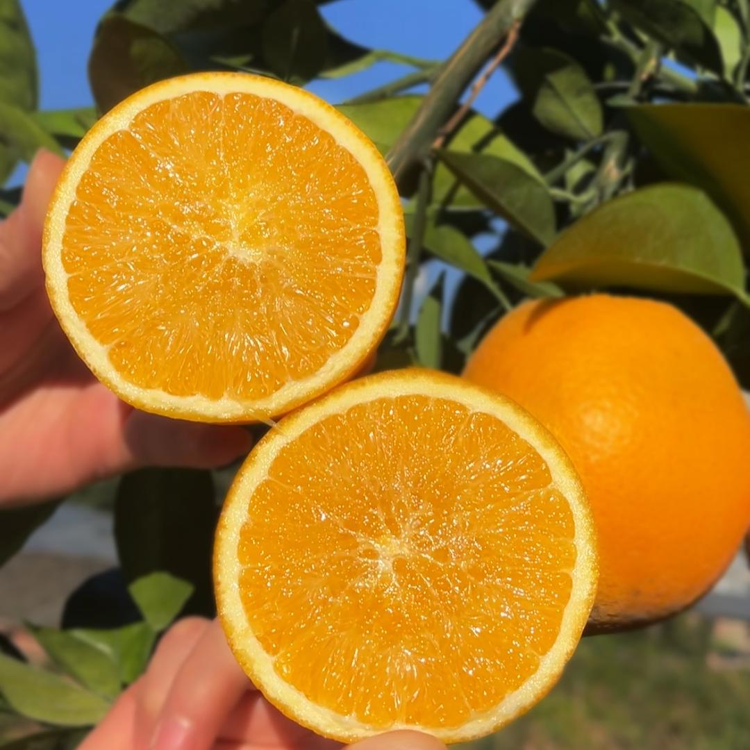 橙王哥江西赣南脐橙