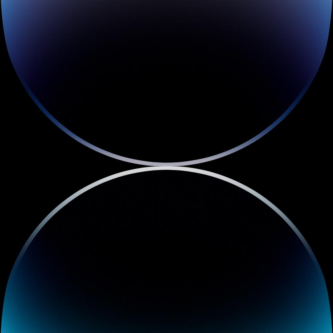 ……………………