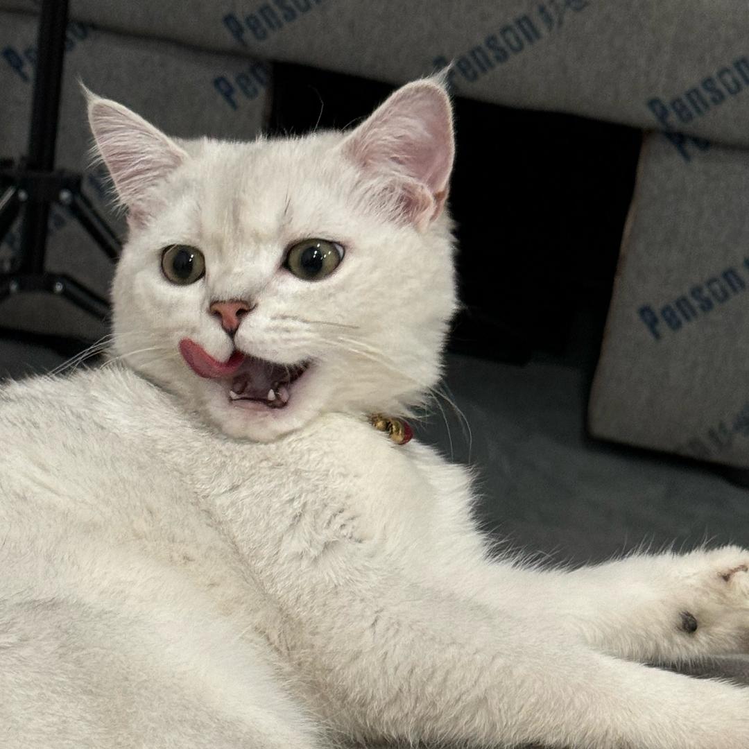 李来财🐈