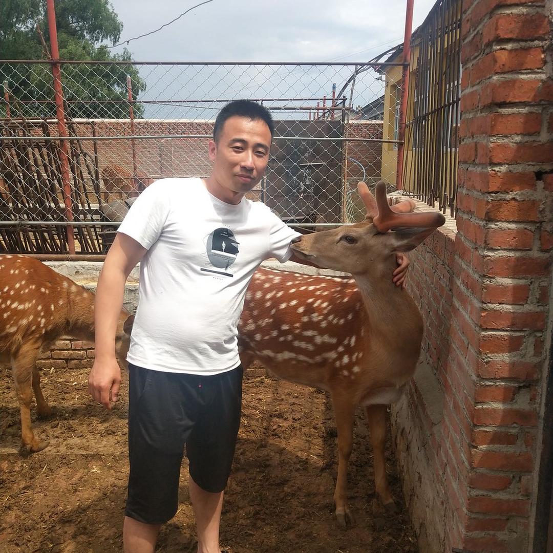 鹿小爽滋补专营店