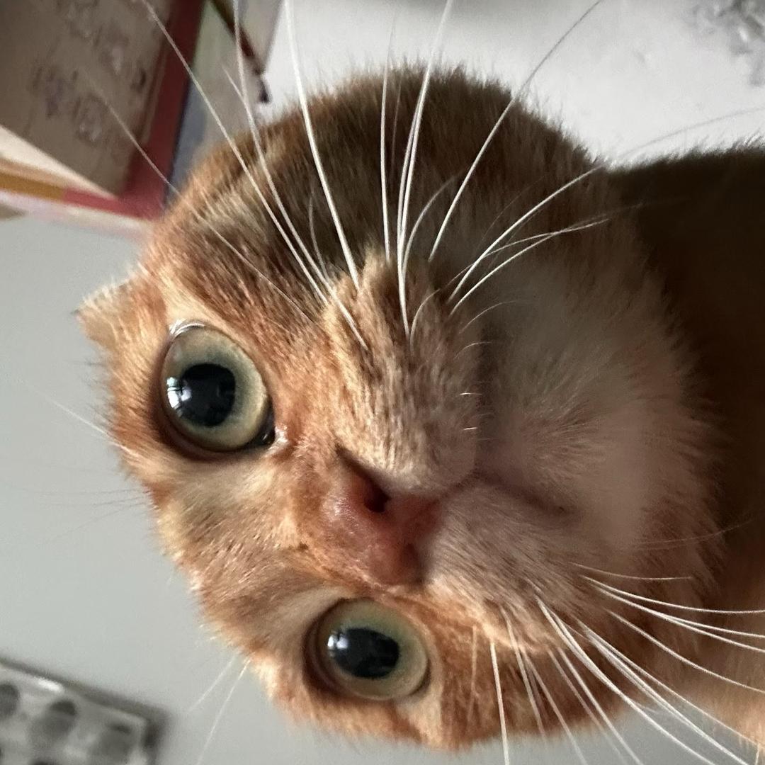 婉拒容嬷嬷99次