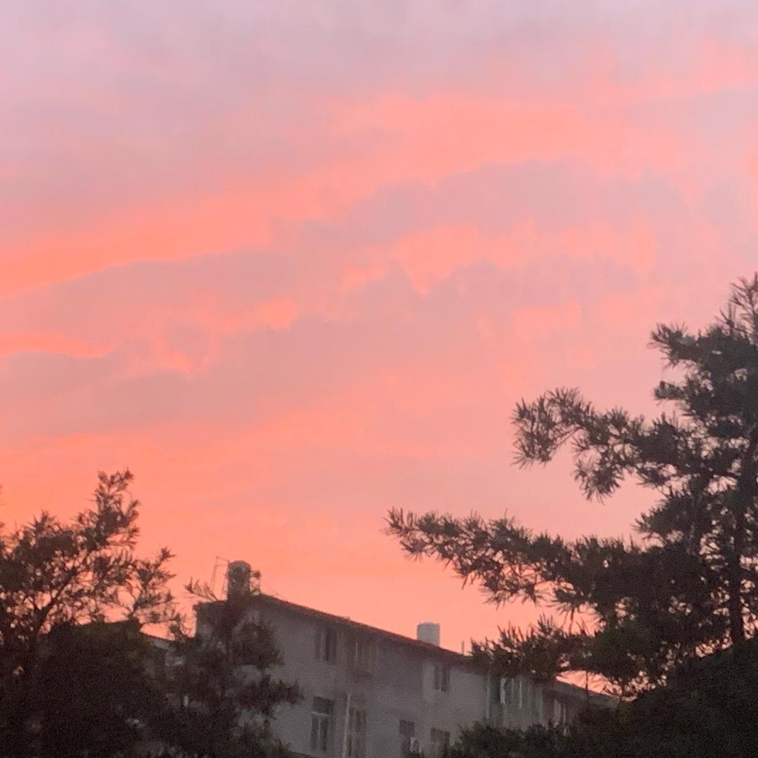 凌辰💭18