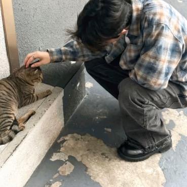 送你一筐橘子
