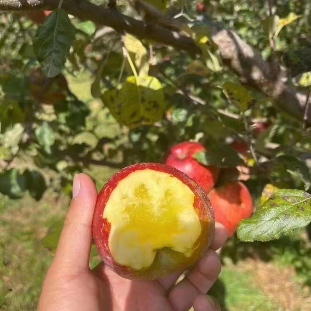 用户浪迹天涯